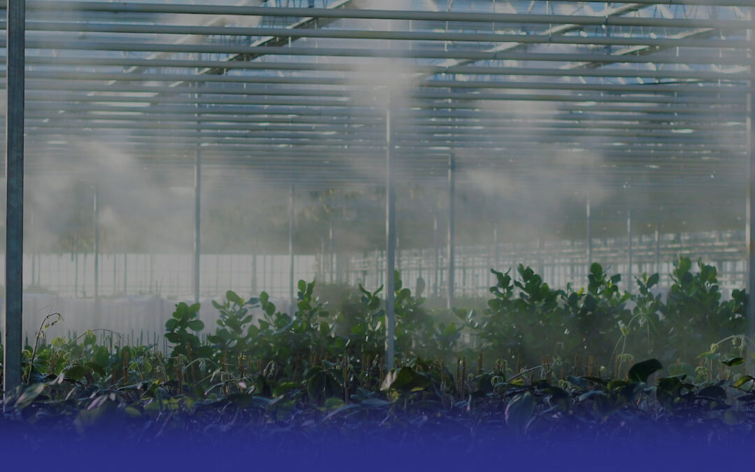 Construction of Steel Structures